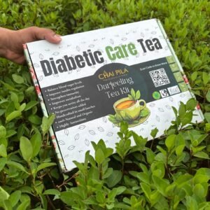 import placeholder for 172