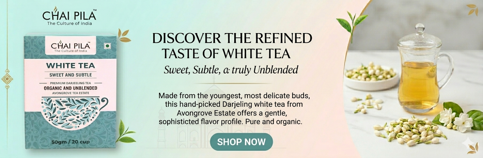 Gemini_Generated_Image_i5lw6yi5lw6yi5lw