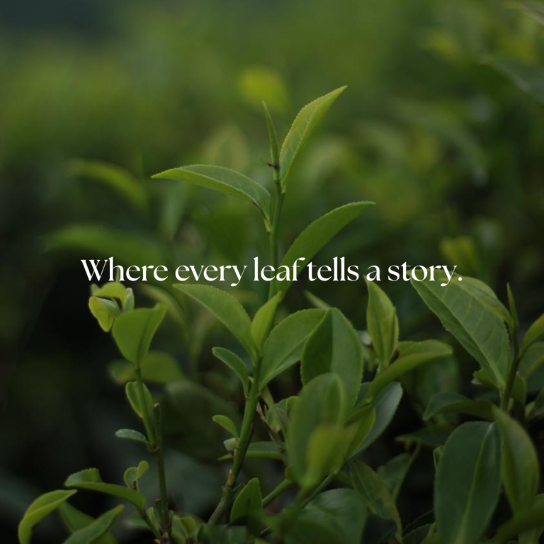 blog 4.2
